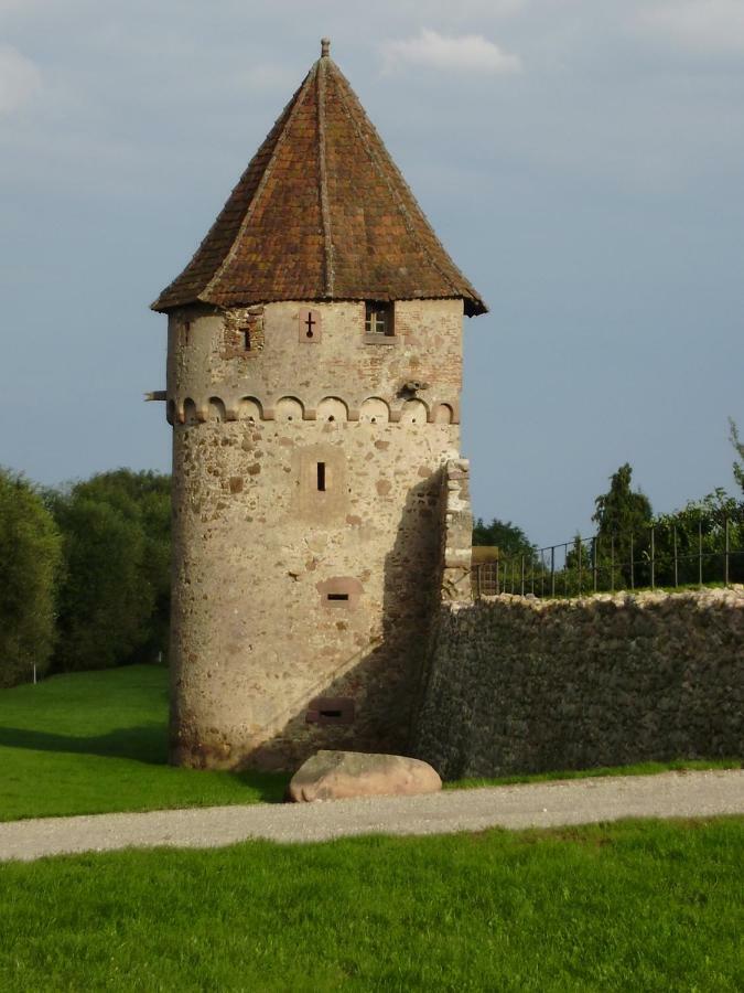 Gite La Maison Bleue Бергхейм Экстерьер фото